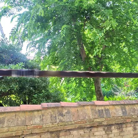 Pansiyon Zen , Grand Canal