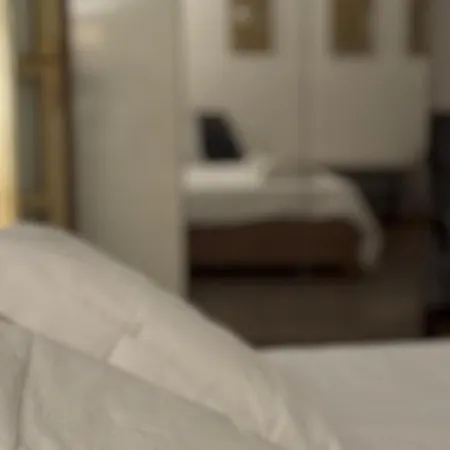 Zen , Grand Canal Veneza